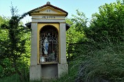 Al Perello sul sent. CAI 514 e al Monte Castello da casa, da Zogno il 23 maggio 2019 - FOTOGALLERY